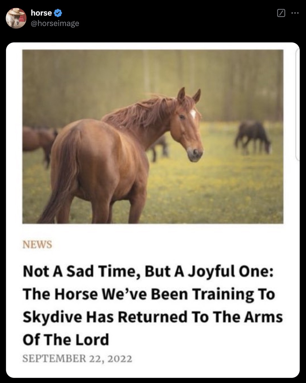 not a sad time but a joyful one - horse News Not A Sad Time, But A Joyful One The Horse We've Been Training To Skydive Has Returned To The Arms Of The Lord